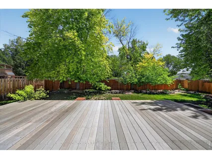 a view of backyard with plants and trees
