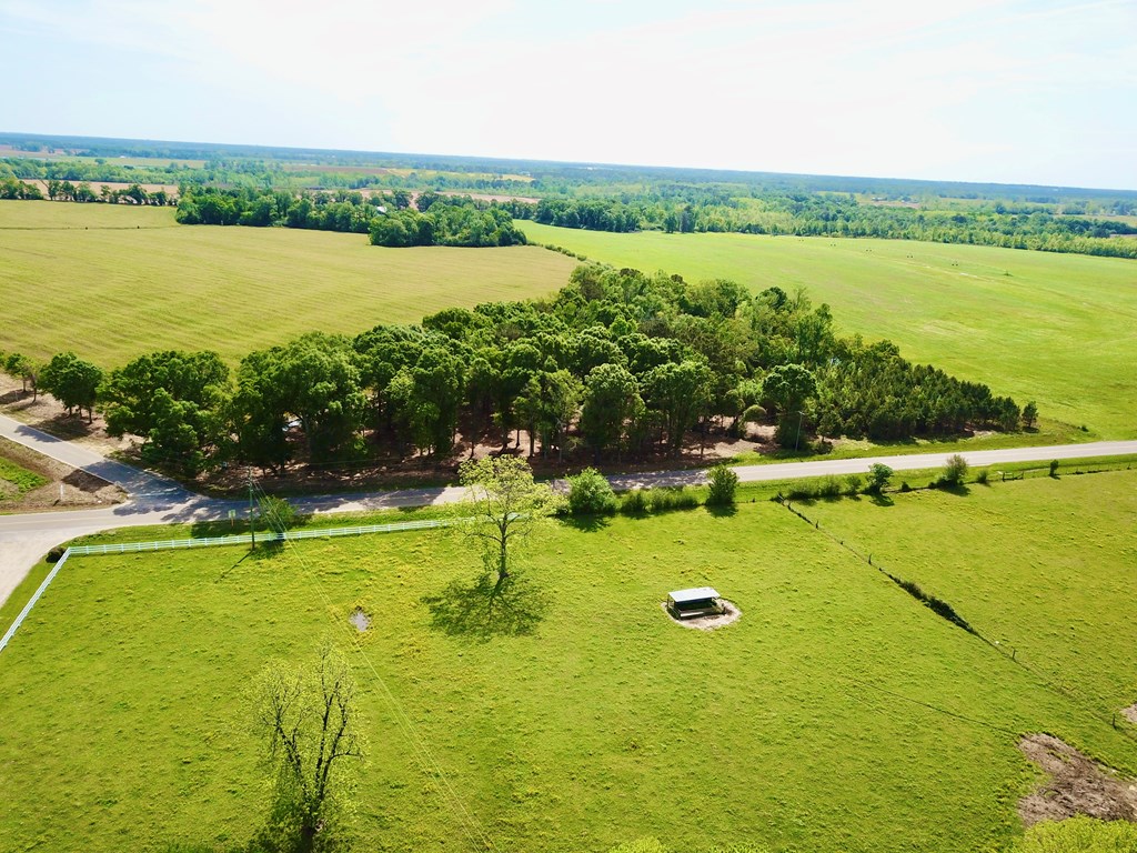 92 County Road 92 Slocomb, AL 36375 - Photo 5 of 58
