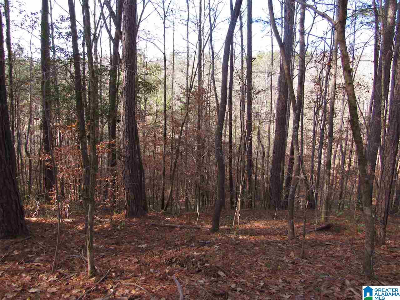 0 Baber Street, Unit 9 7 Heflin, AL 36264 - Photo 2 of 4