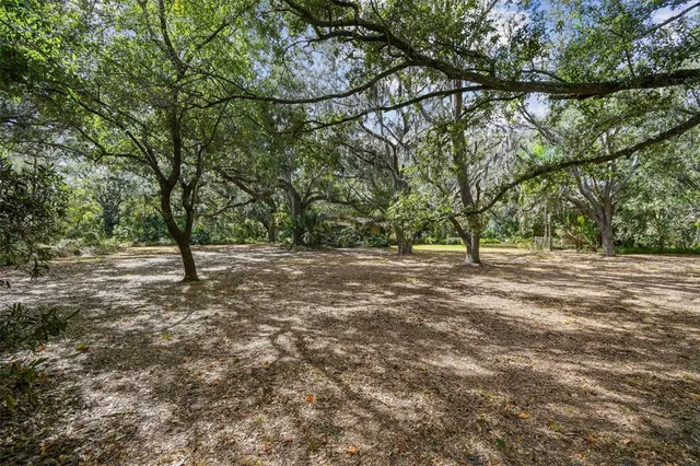a view of a house with a big yard and large trees