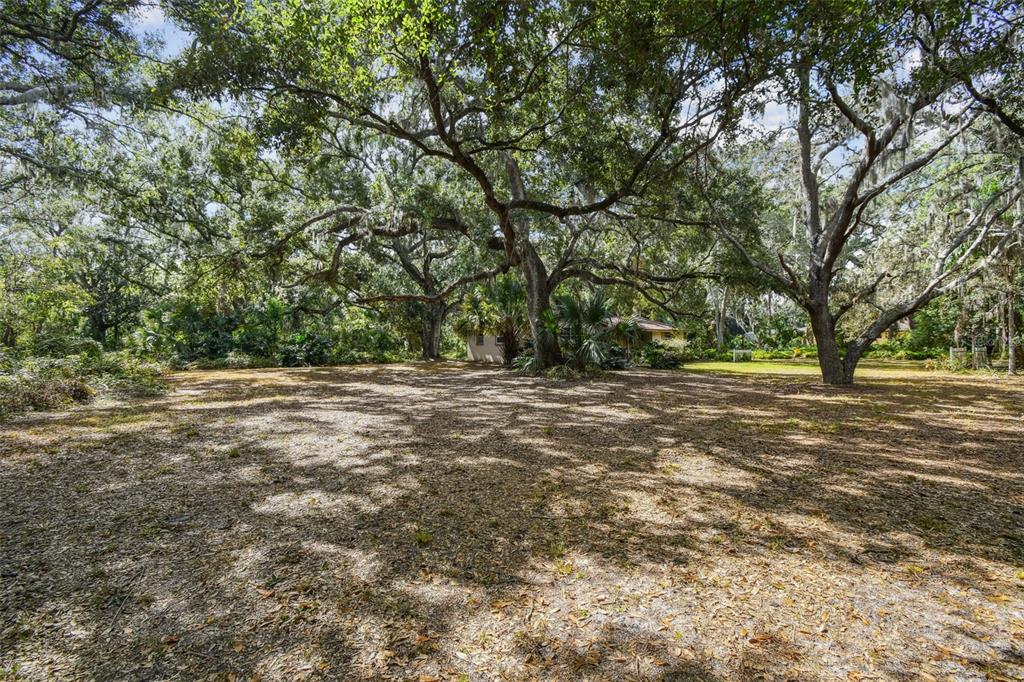 12944 Lincoln Road Riverview, FL 33578 - Photo 12 of 81