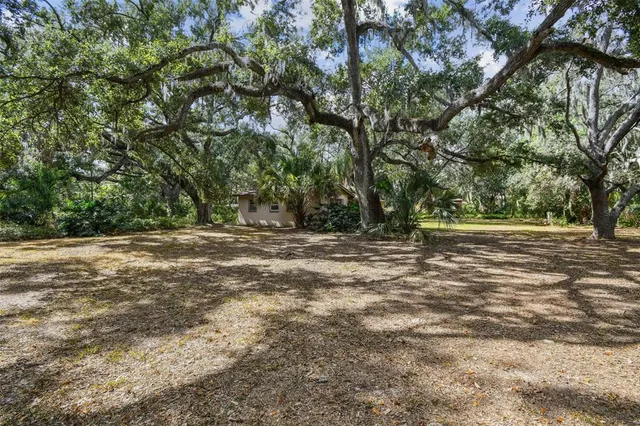 a big yard with large trees