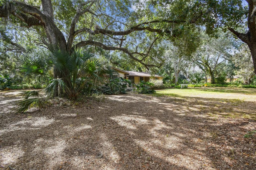 12944 Lincoln Road Riverview, FL 33578 - Photo 14 of 81