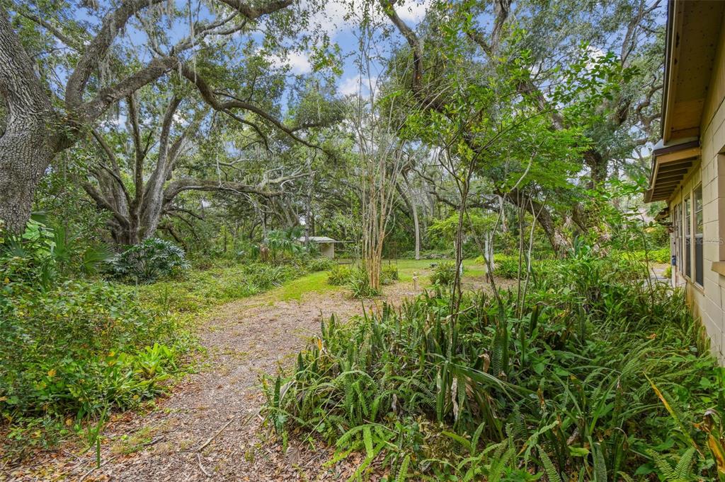 12944 Lincoln Road Riverview, FL 33578 - Photo 18 of 81