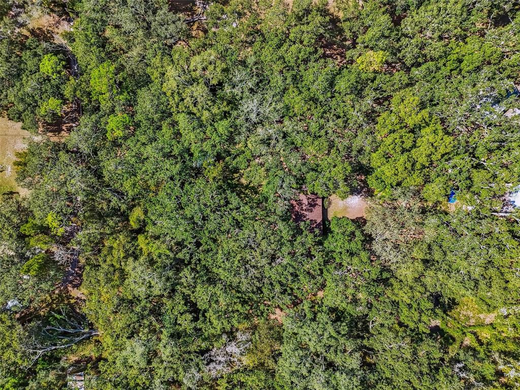 12944 Lincoln Road Riverview, FL 33578 - Photo 76 of 81