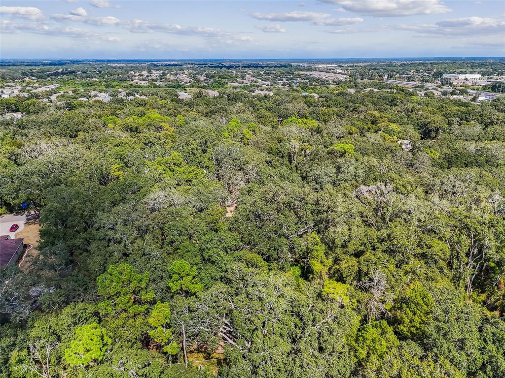 12944 Lincoln Road Riverview, FL 33578 - Photo 79 of 81