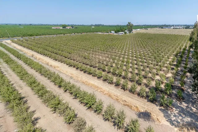 a view of an ocean beach