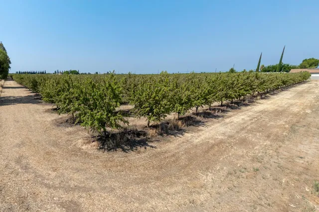 a view of a lake with a building in the back