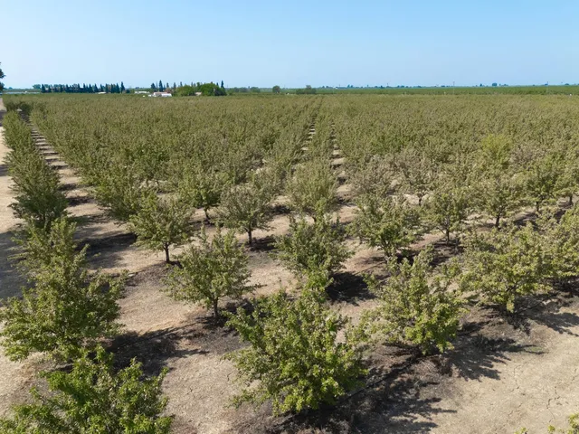 a view of an ocean and beach