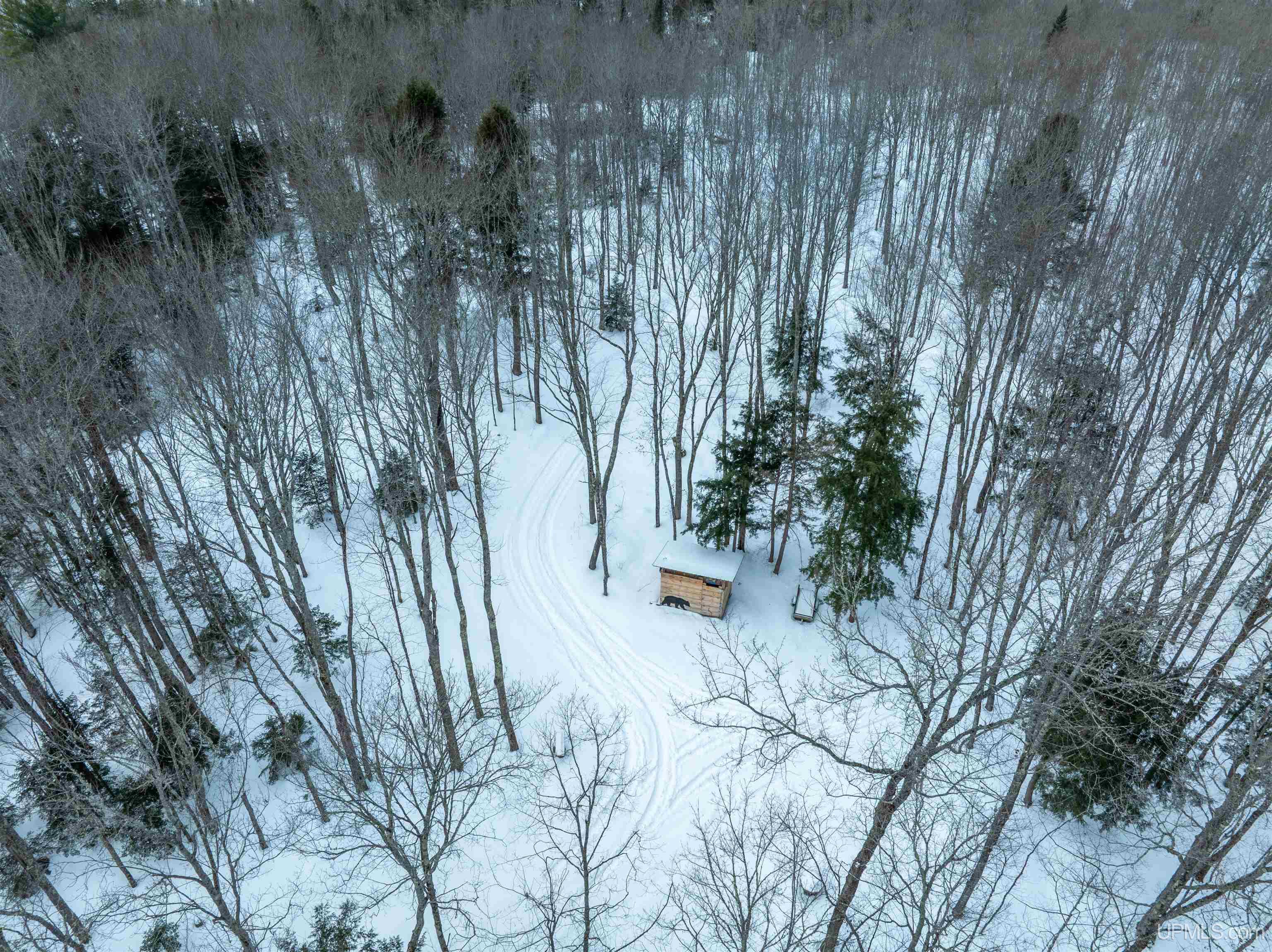 N7228 Rock River Road Deerton, MI 49822 - Photo 43 of 46