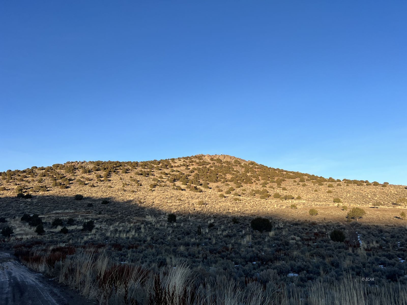 Jarbidge Ave Spring Creek Spring Creek, NV 89815 - Photo 2 of 16