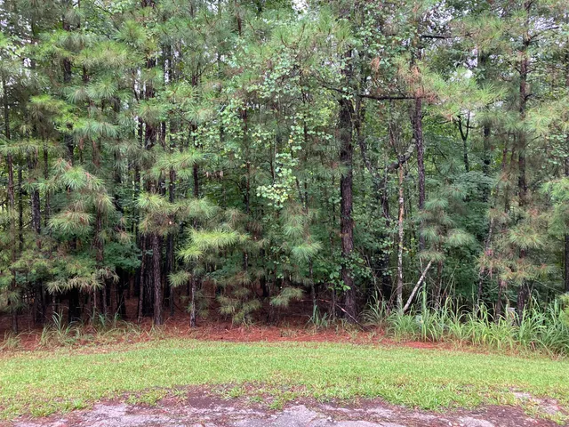 $23,500 | Bl13-lt19 Logan Lane, McCormick, SC 29835