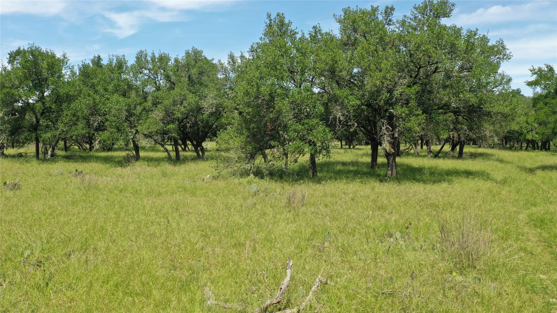 3215 County Road 305 Jarrell, TX 76537 - Photo 15 of 23