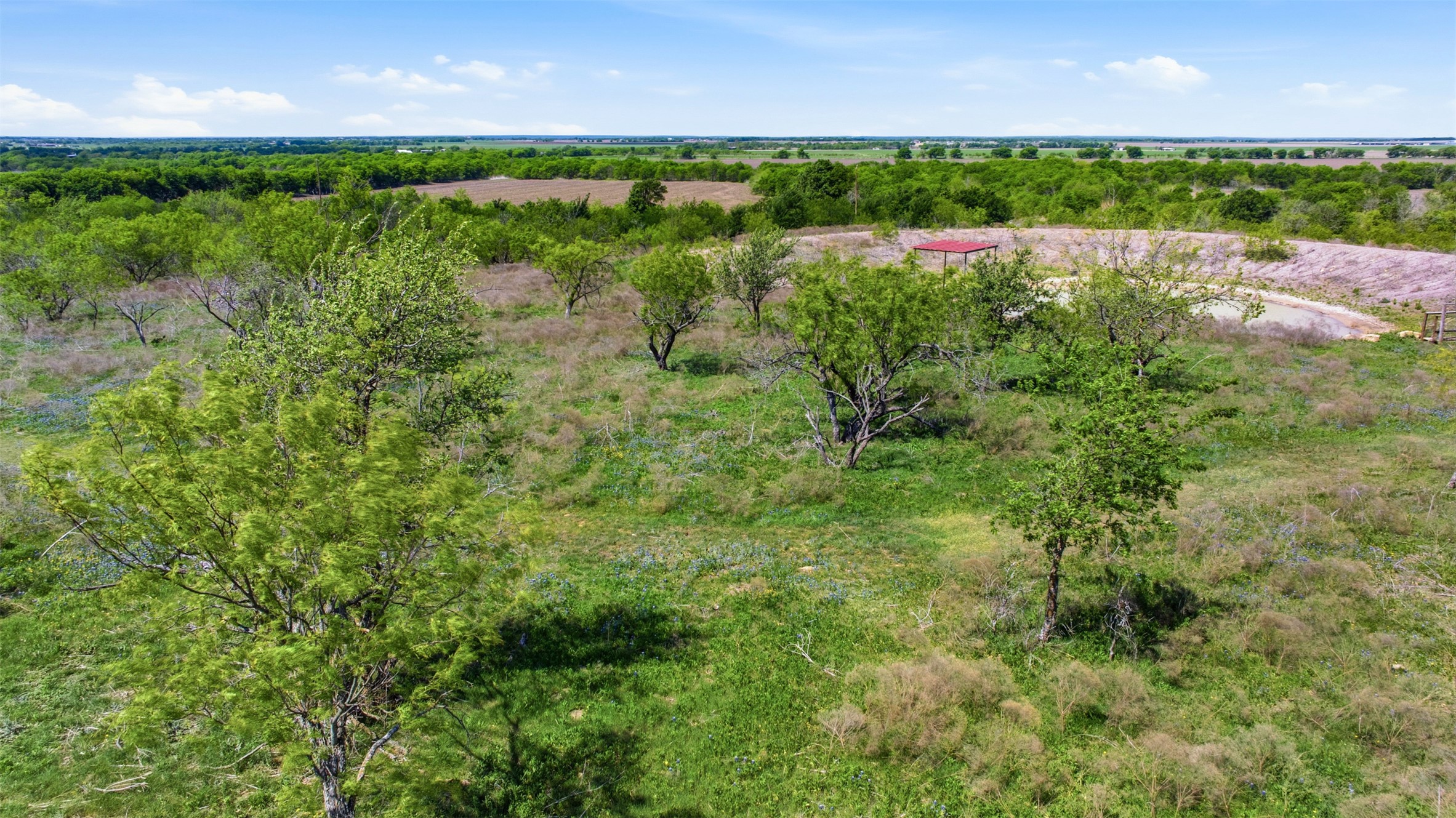 6947 Moody Road Moody, TX 76557 - Photo 9 of 24 Lush rolling pastures dotted with mature trees stretch toward the horizon under clear blue skies.