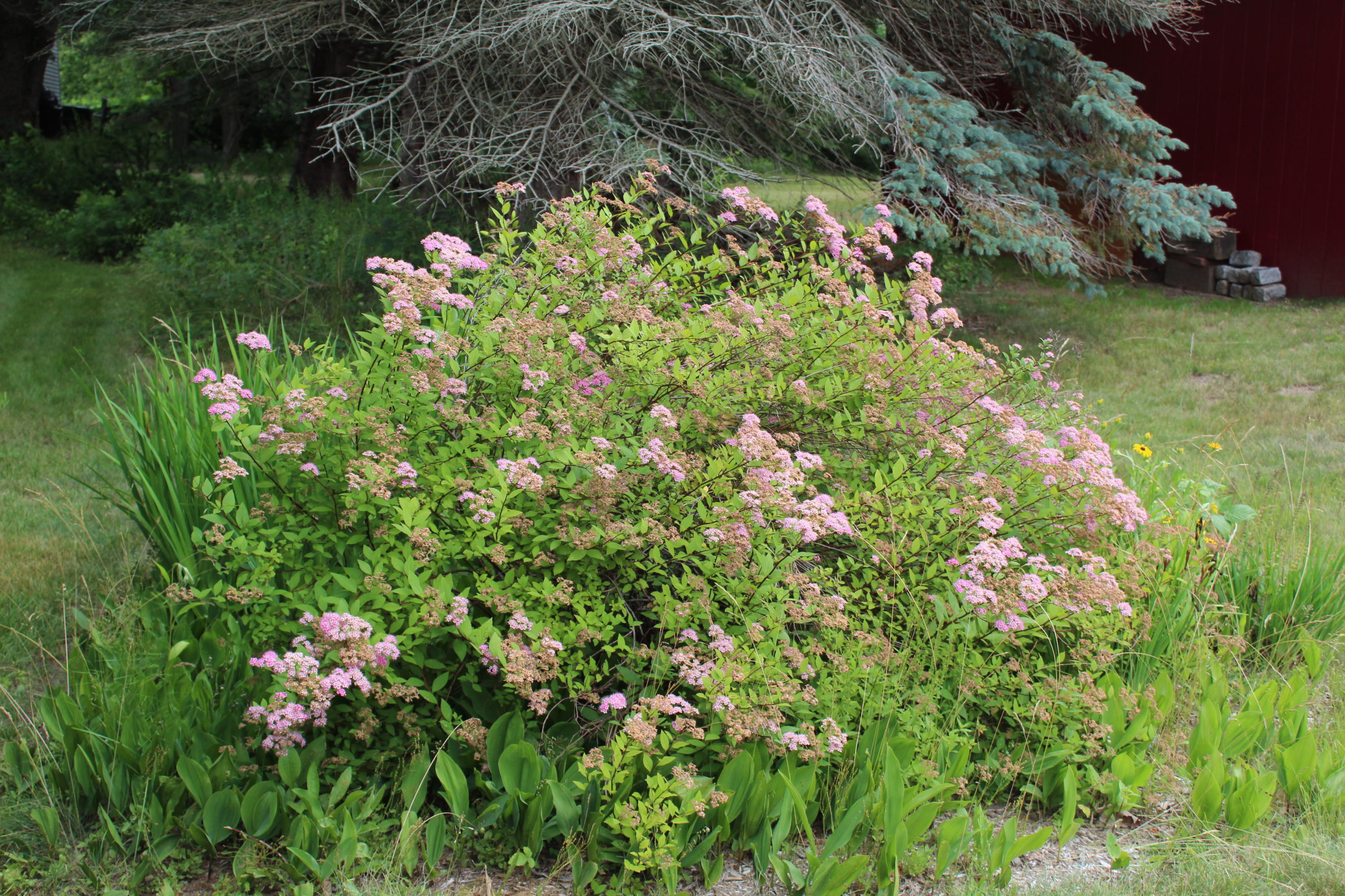 230 Black Point Road Scarborough, ME 04074 - Photo 12 of 38 IMG_0878