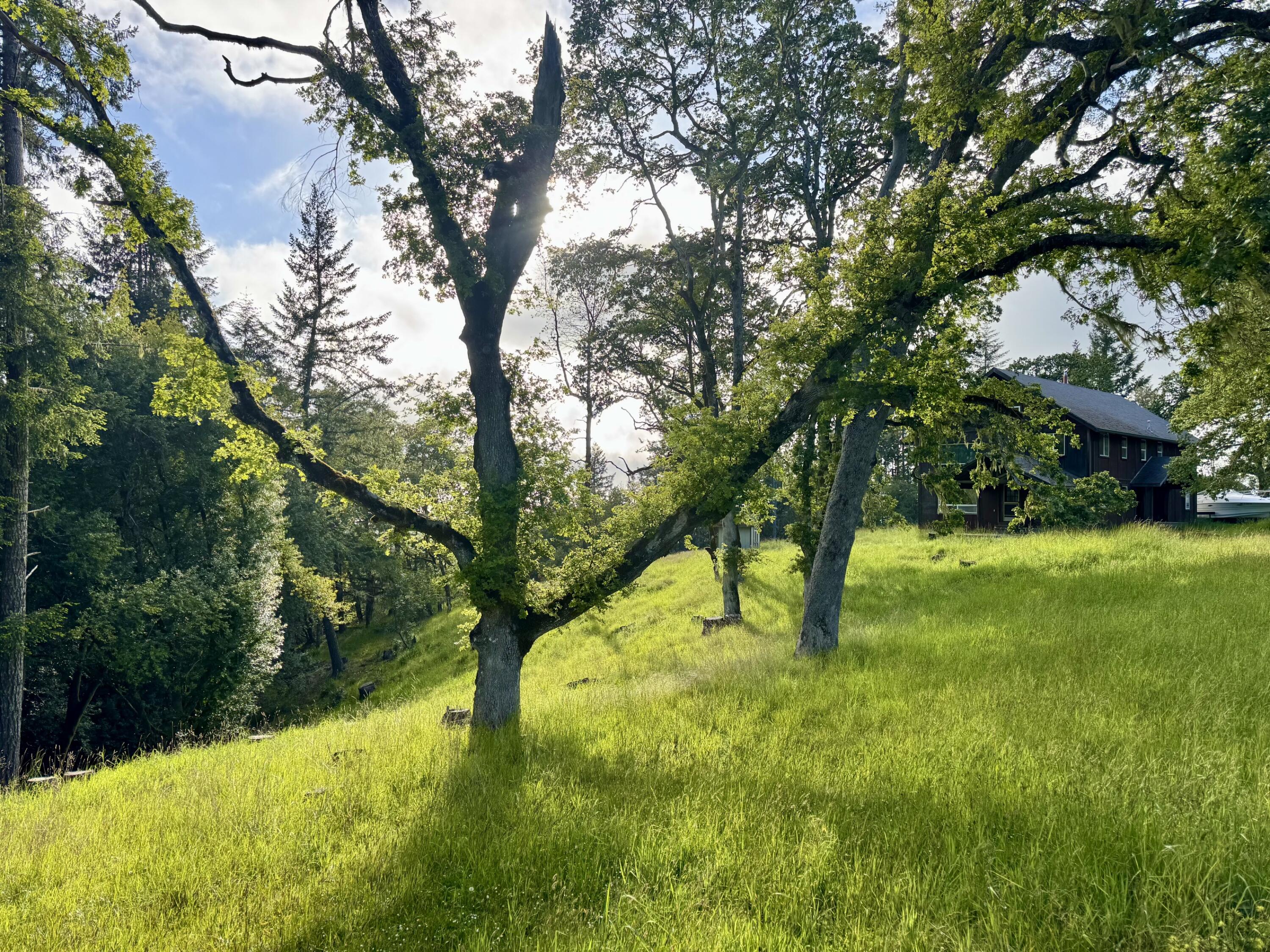1460 Tim Mullen Road Kneeland, CA 95549 - Photo 74 of 93