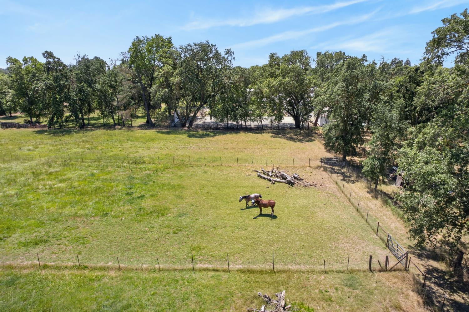 13088 Cherry Road Wilton, CA 95693 - Photo 42 of 58 Four cross fenced pastures with alley way for feeding or bringing the animals up.