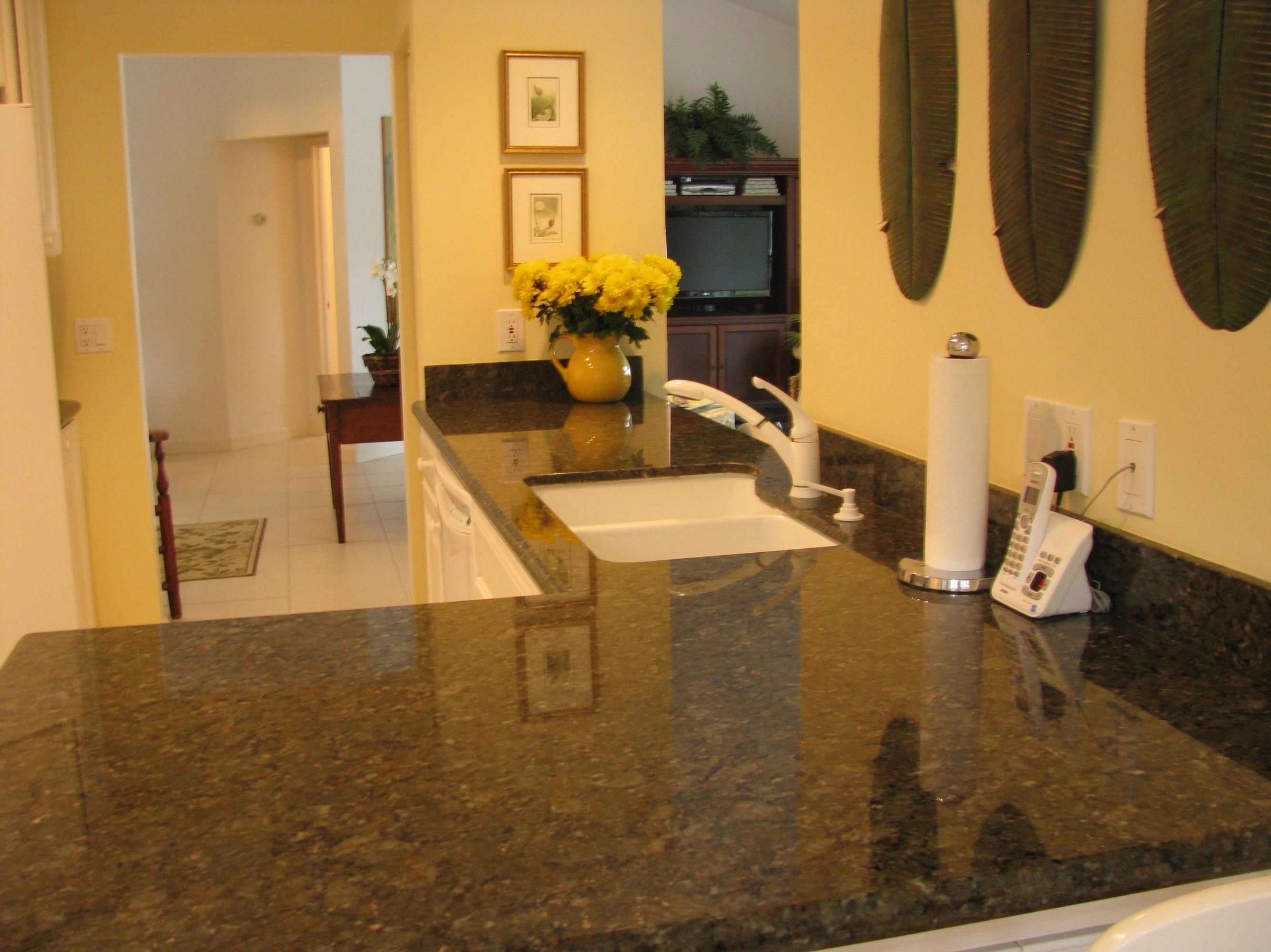 204 Colony Way West Jupiter, FL 33458 - Photo 7 of 44 Gourmet kitchen
