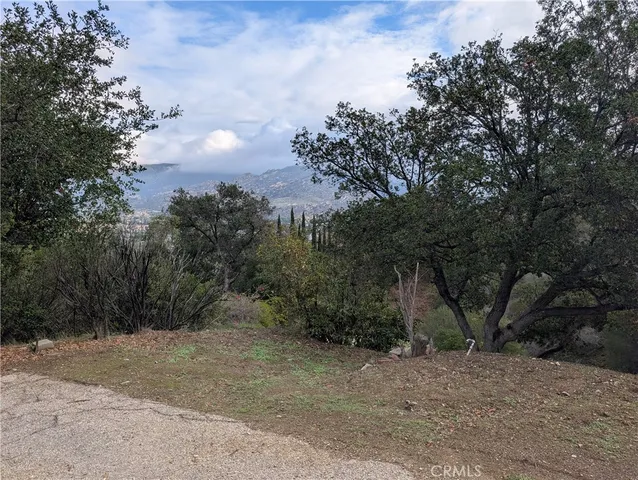 a view of a dry yard with trees