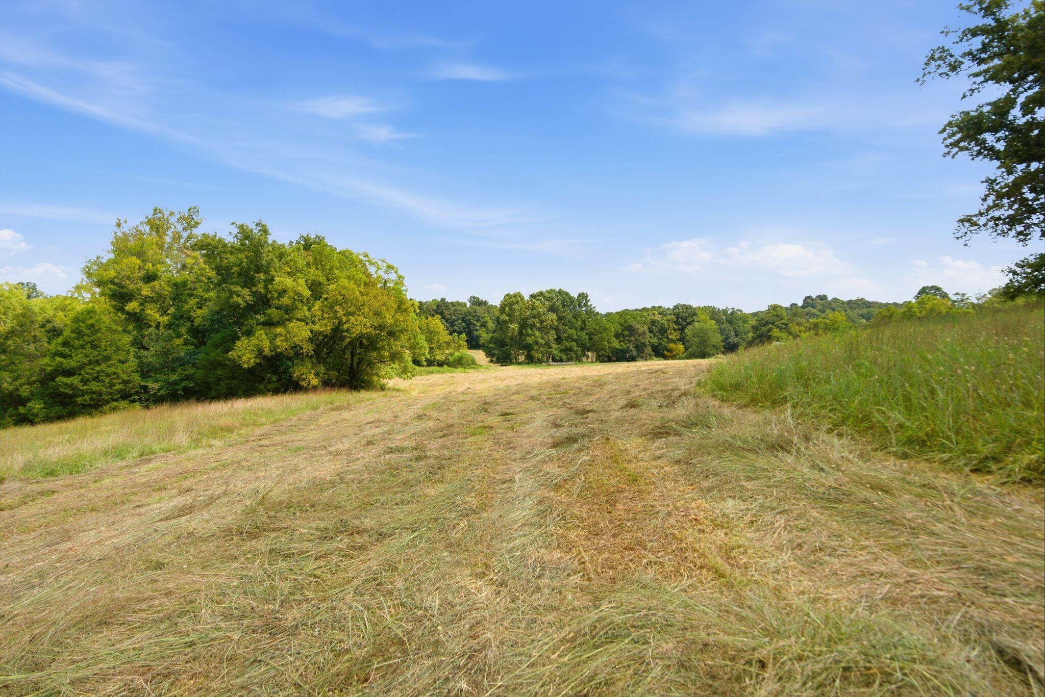 15529 St John Road, Unit TRACT #2 Rineyville, KY 40162 - Photo 34 of 39 dsc04620