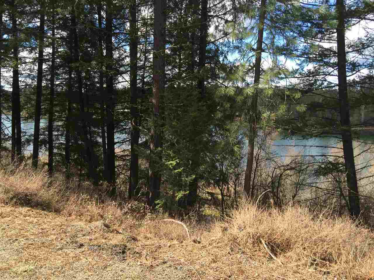 37620 North Sheets Road Elk, WA 99009 - Photo 17 of 17