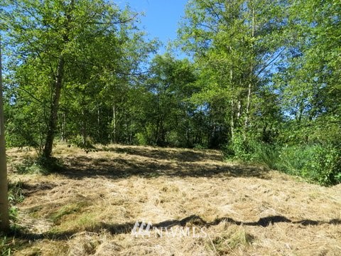 6265 Olson Road Ferndale, WA 98248 - Photo 21 of 23