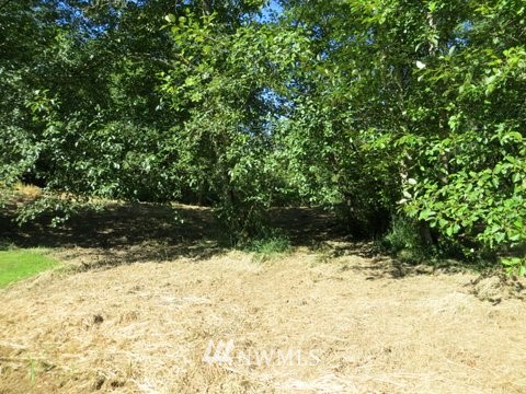 6265 Olson Road Ferndale, WA 98248 - Photo 22 of 23