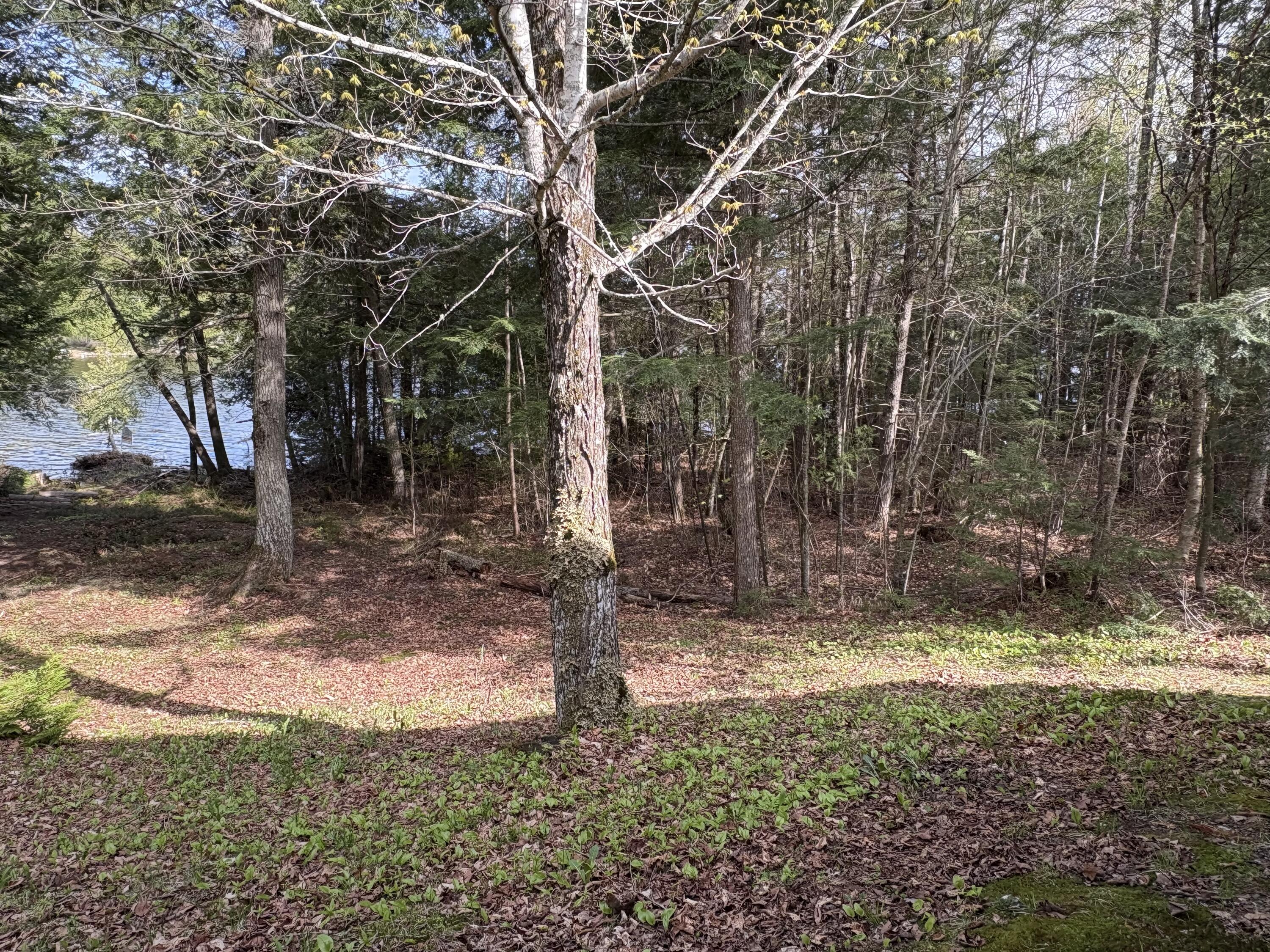 21 Smart Road Lee, ME 04455 - Photo 24 of 48 IMG_1089