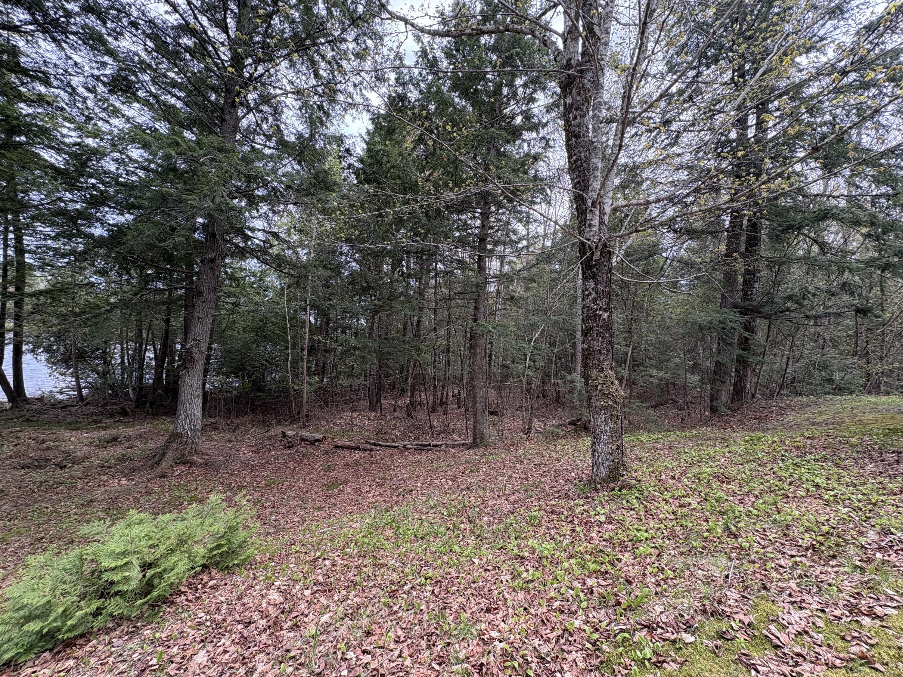 21 Smart Road Lee, ME 04455 - Photo 30 of 48 IMG_1014