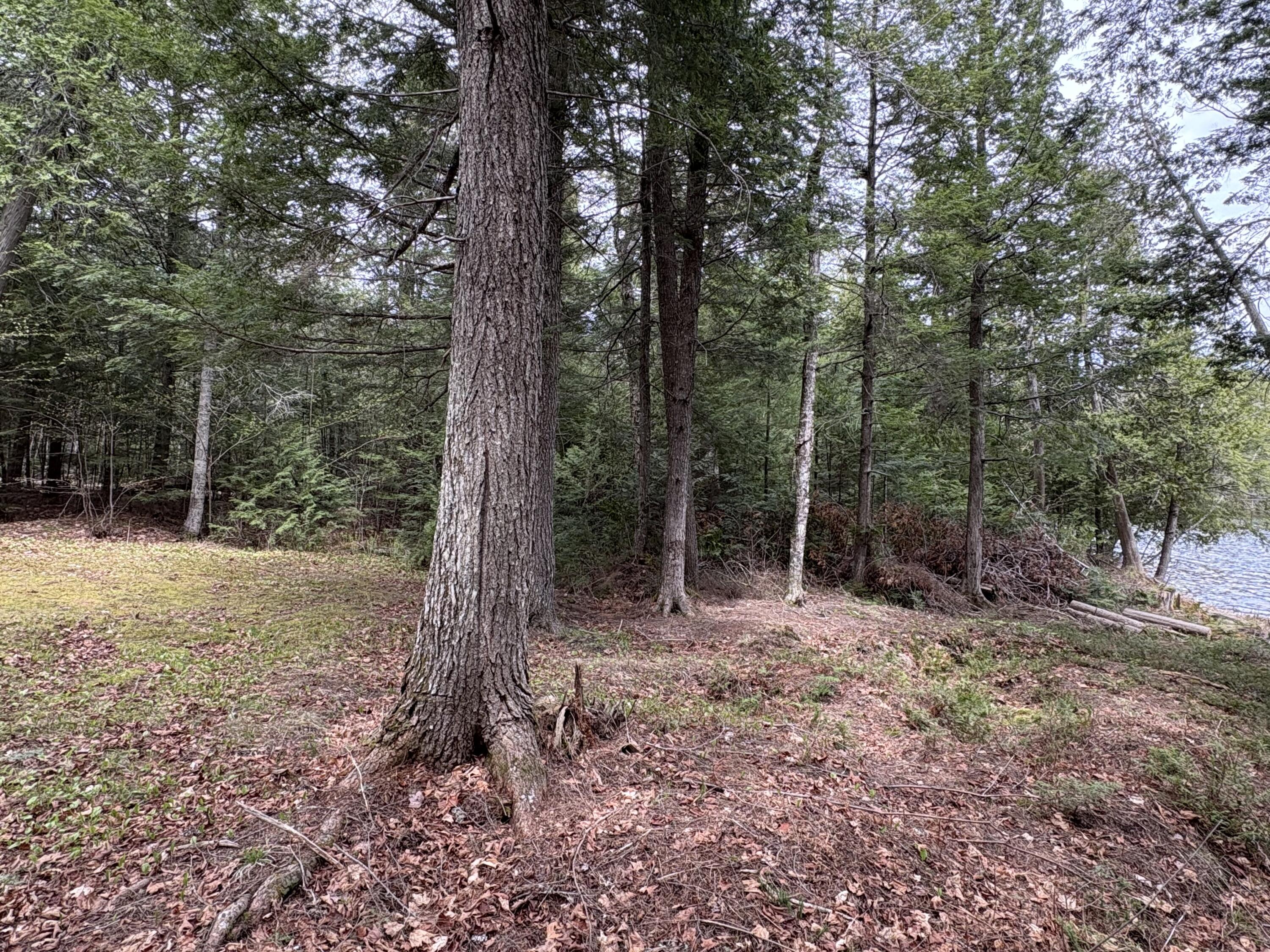 21 Smart Road Lee, ME 04455 - Photo 33 of 48 IMG_1011