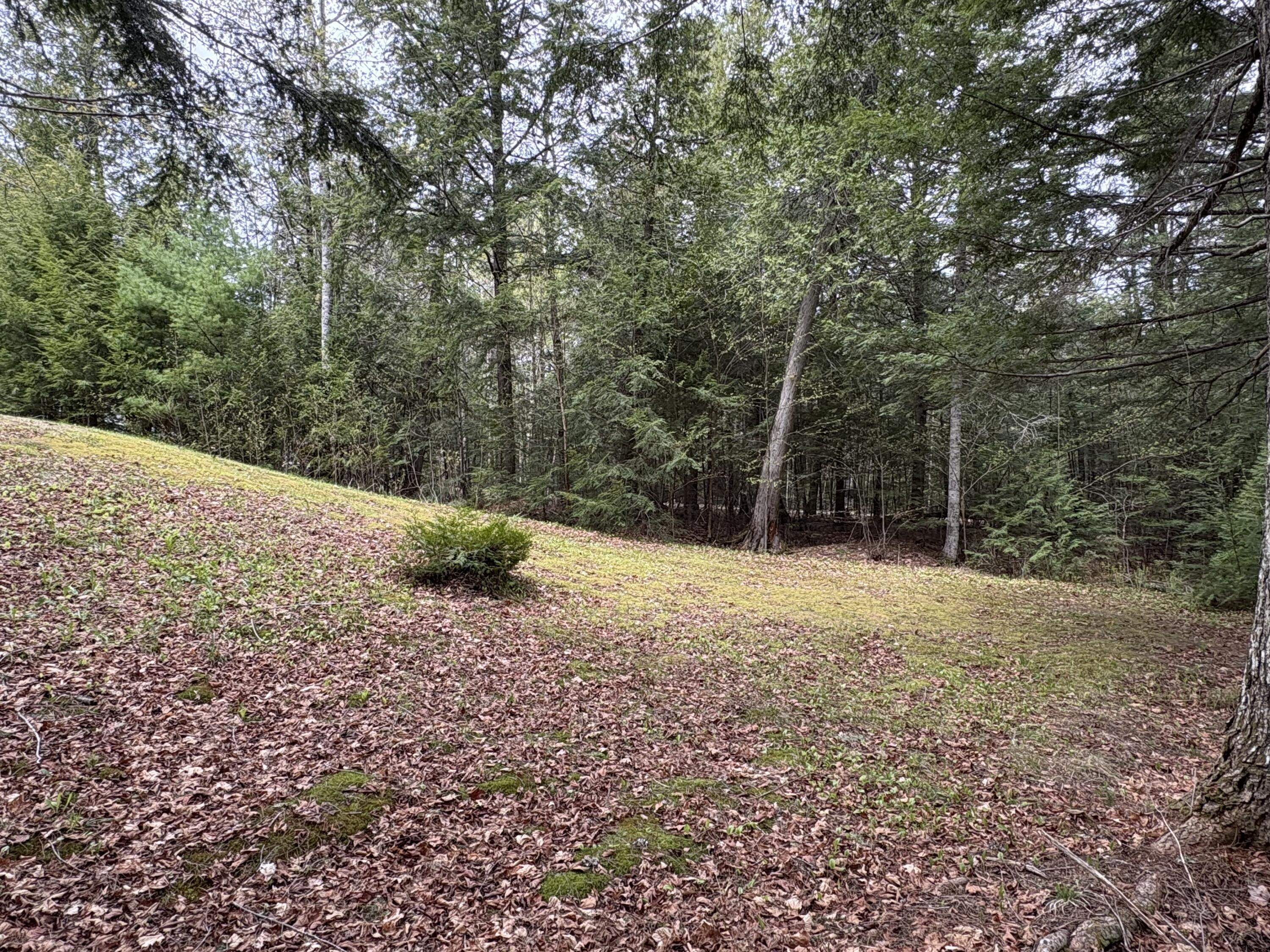 21 Smart Road Lee, ME 04455 - Photo 34 of 48 IMG_1010