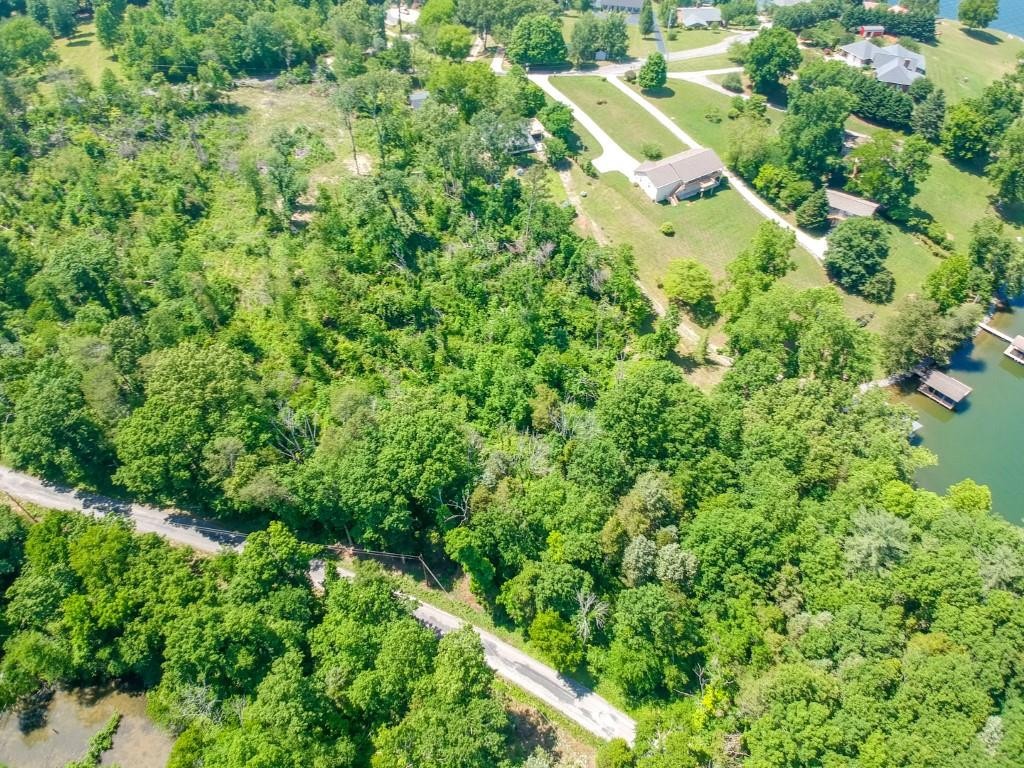 0 Blue Water Trail Spring City, TN 37381 - Photo 31 of 36 Gallery Image 31