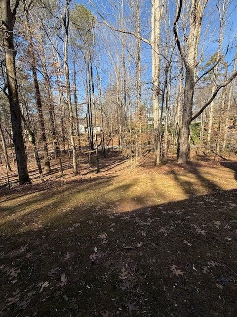 129 Summit Ridge Drive Southeast Cartersville, GA 30120 - Photo 7 of 27 Gallery Image 7