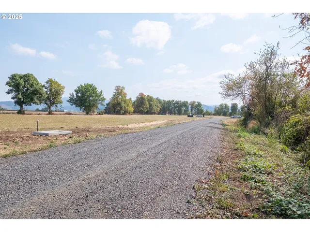 a view of open field with large trees