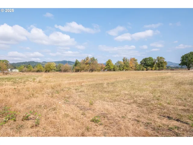 a view of an ocean and beach
