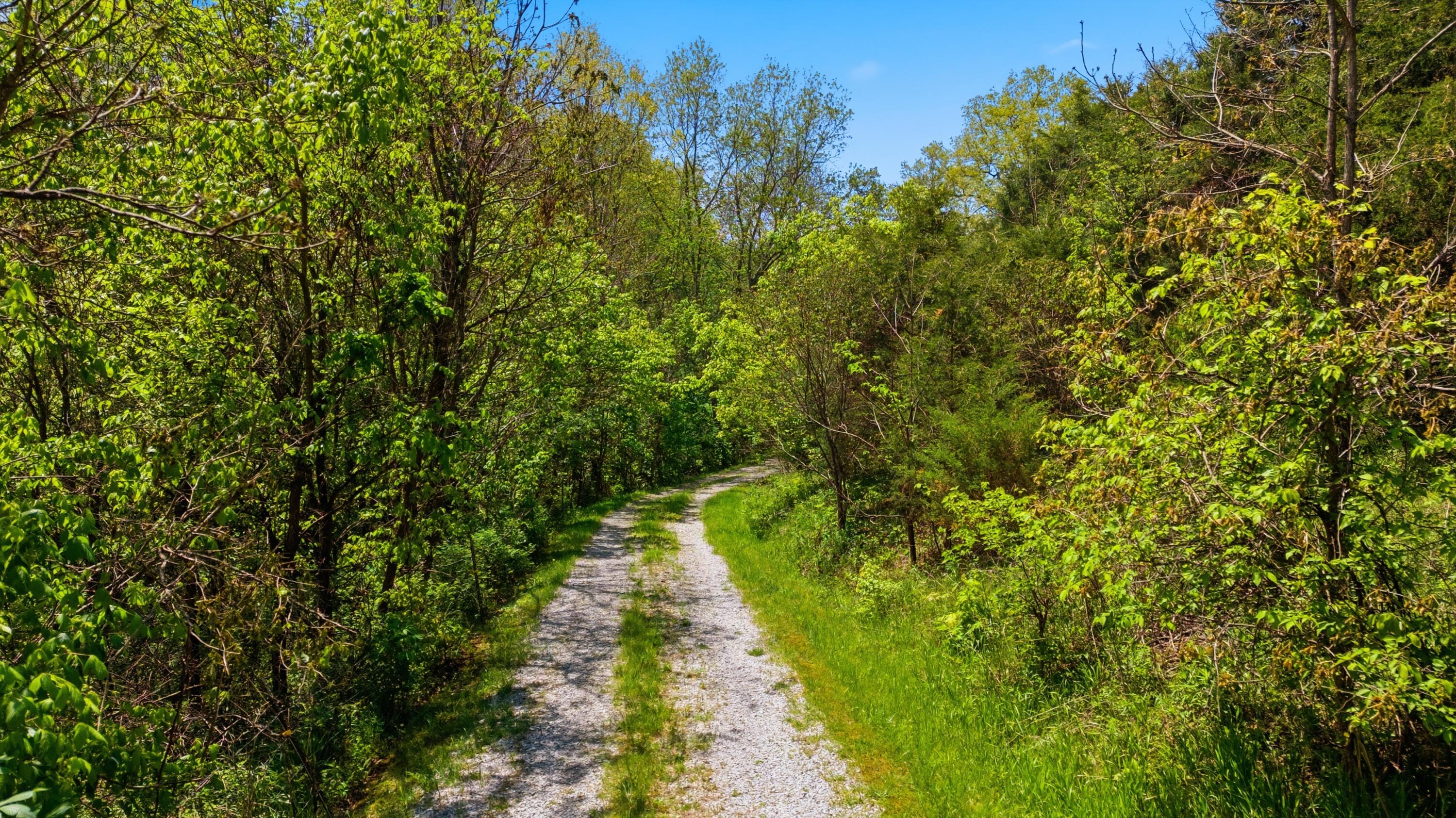 375 North Rays Fork Road Sadieville, KY 40370 - Photo 50 of 76 36-print-032NRays Fork