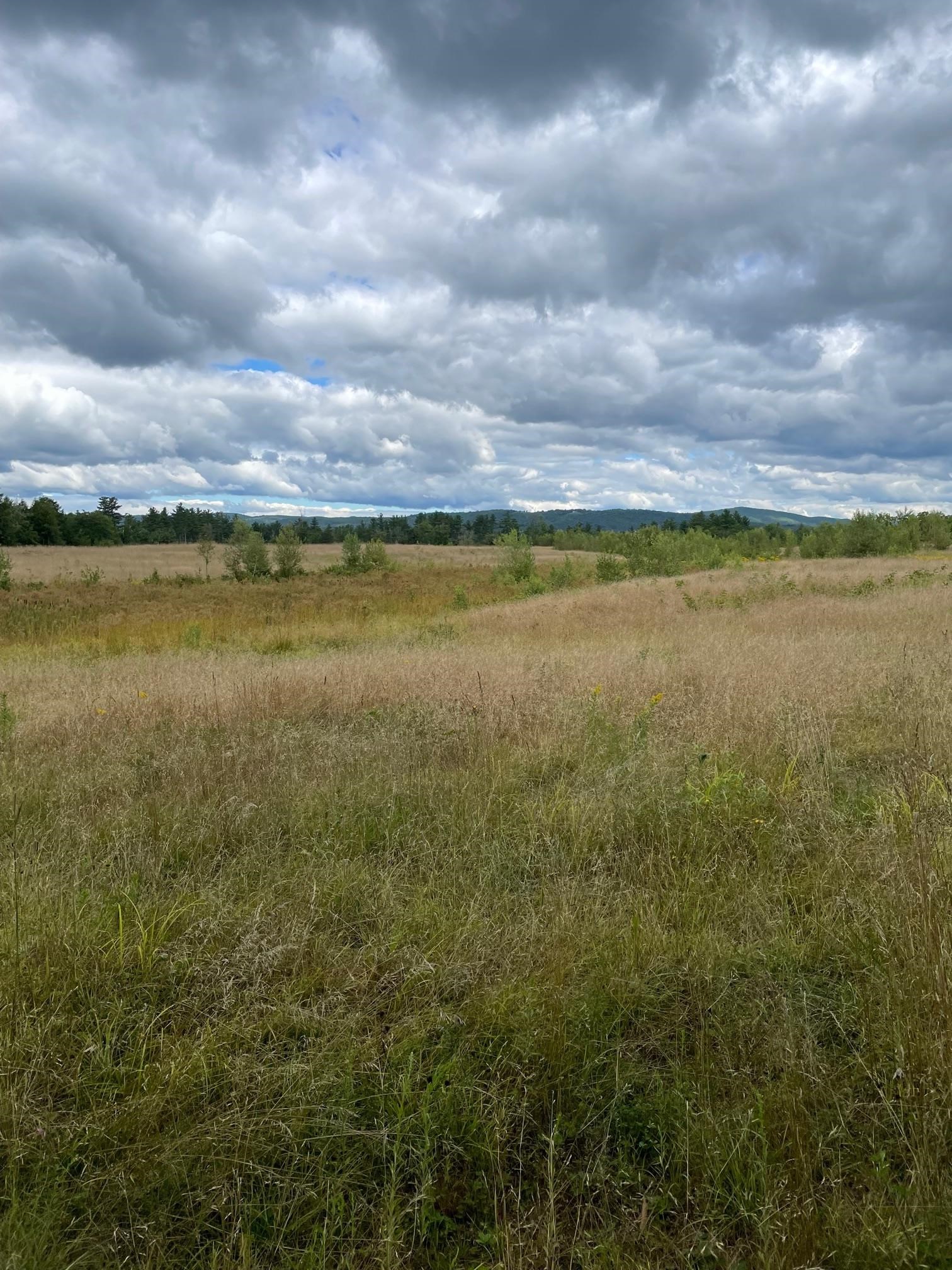 Lot 2 Baker Road New London, NH 03257 - Photo 11 of 11 Gallery Image 11