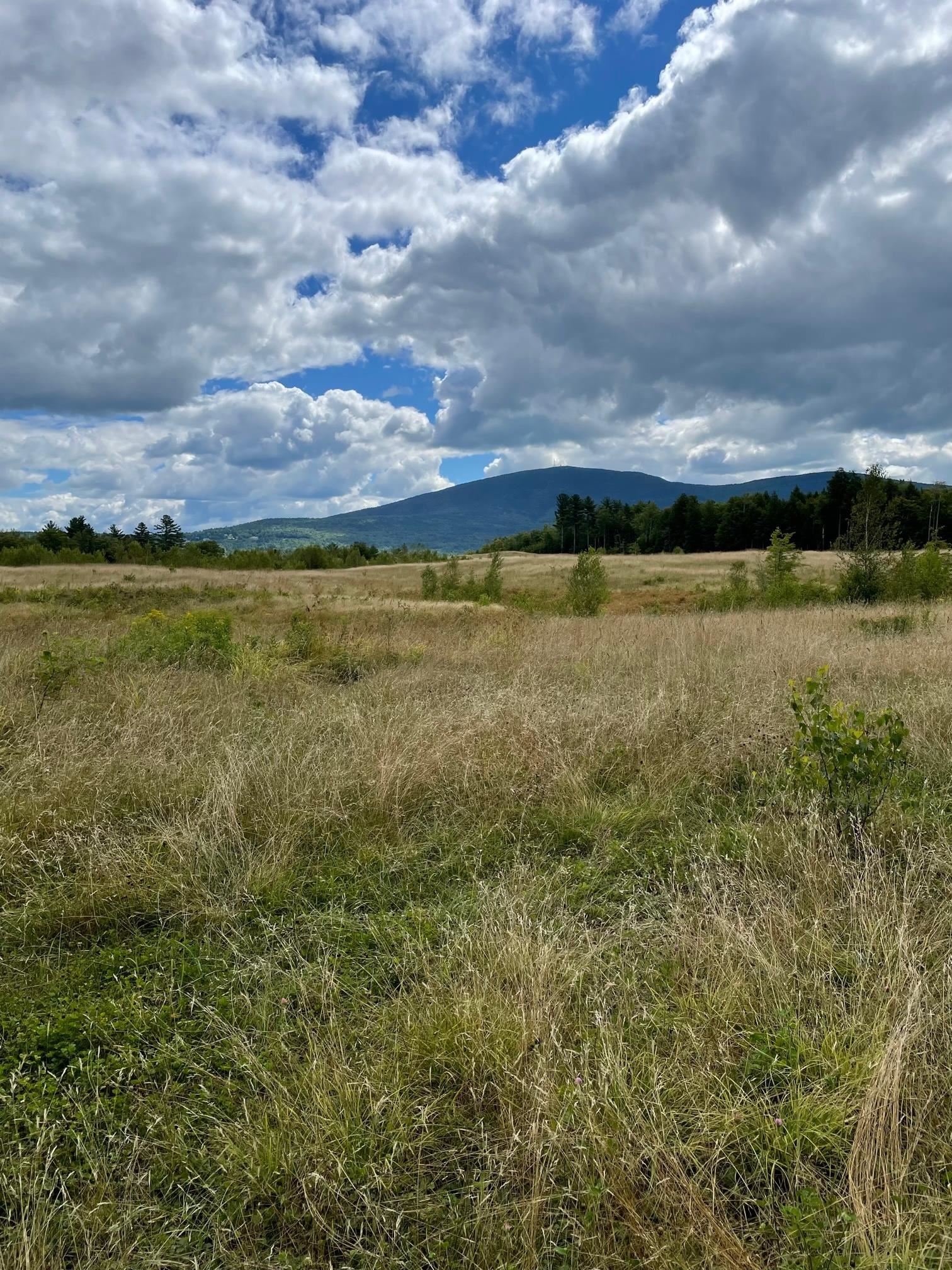 Lot 2 Baker Road New London, NH 03257 - Photo 10 of 11 Gallery Image 10
