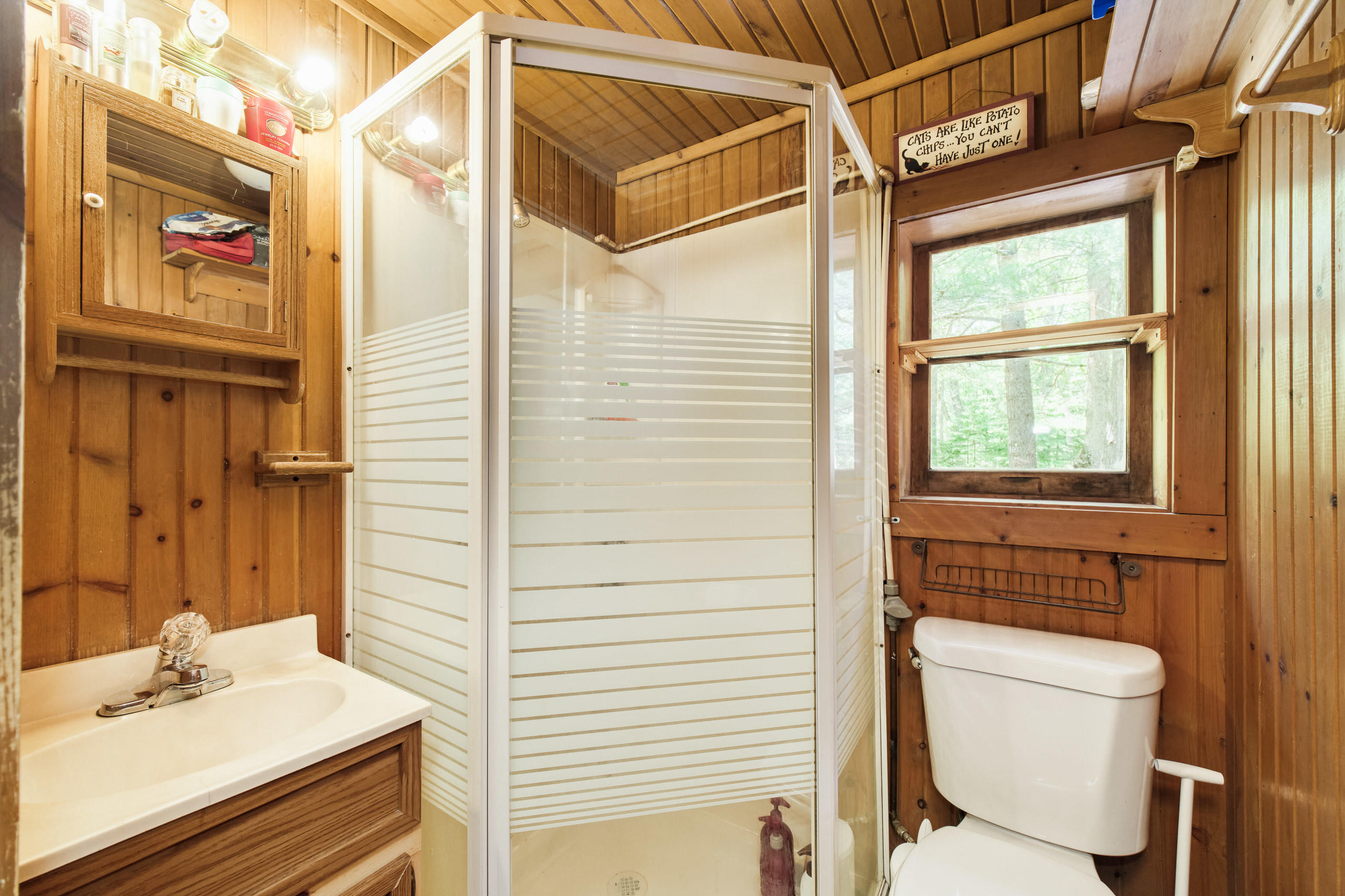 237 North Campbell Road Fountain, MI 49410 - Photo 16 of 34 Updated full bath