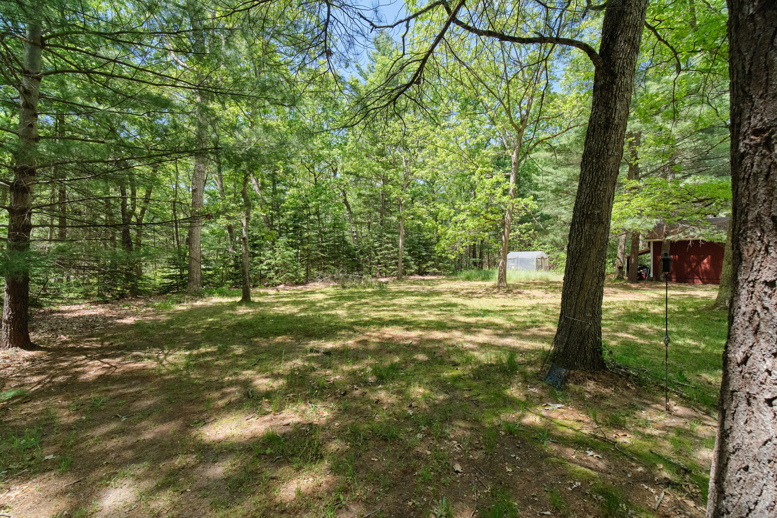 237 North Campbell Road Fountain, MI 49410 - Photo 30 of 34 Wooded seclusion