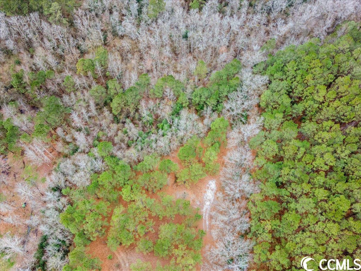 4 Edwards Road Aynor, SC 29544 - Photo 6 of 19 Gallery Image 6
