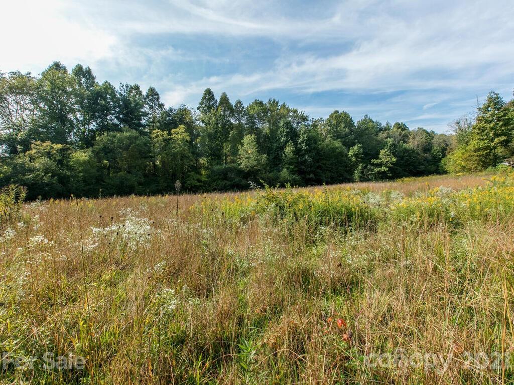 0 Luther Road Candler, NC 28715 - Photo 3 of 12 Gallery Image 3