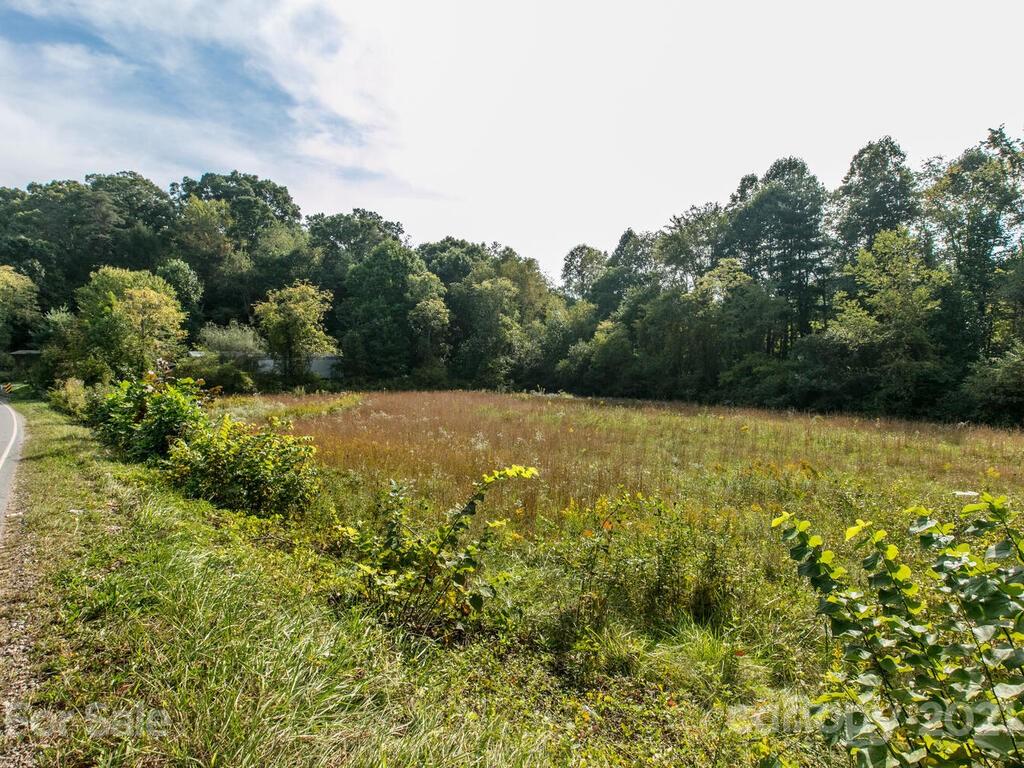 0 Luther Road Candler, NC 28715 - Photo 8 of 12 Gallery Image 8