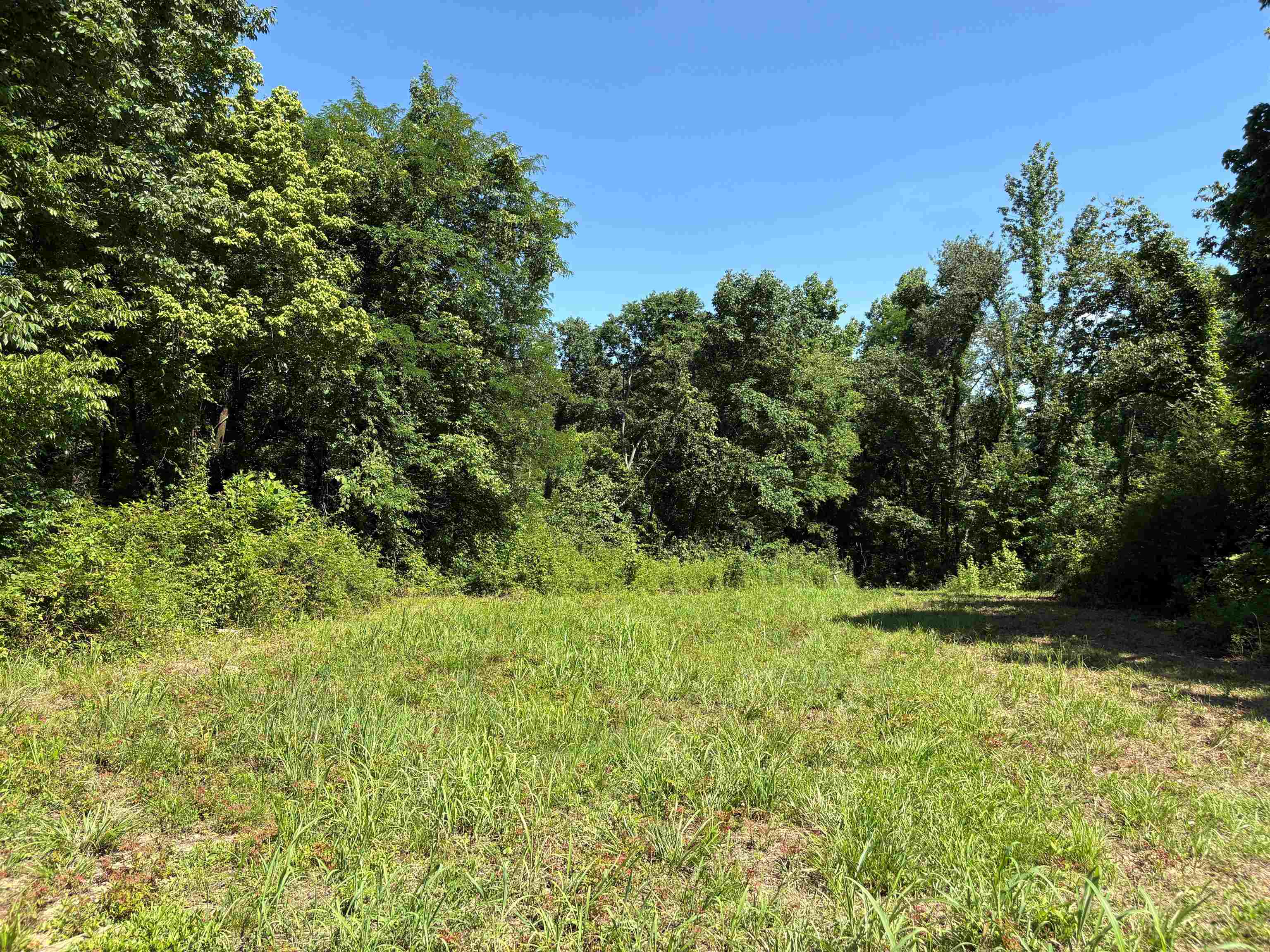 0 Walsh Road, Unit LOT 1 Millington, TN 38053 - Photo 3 of 8