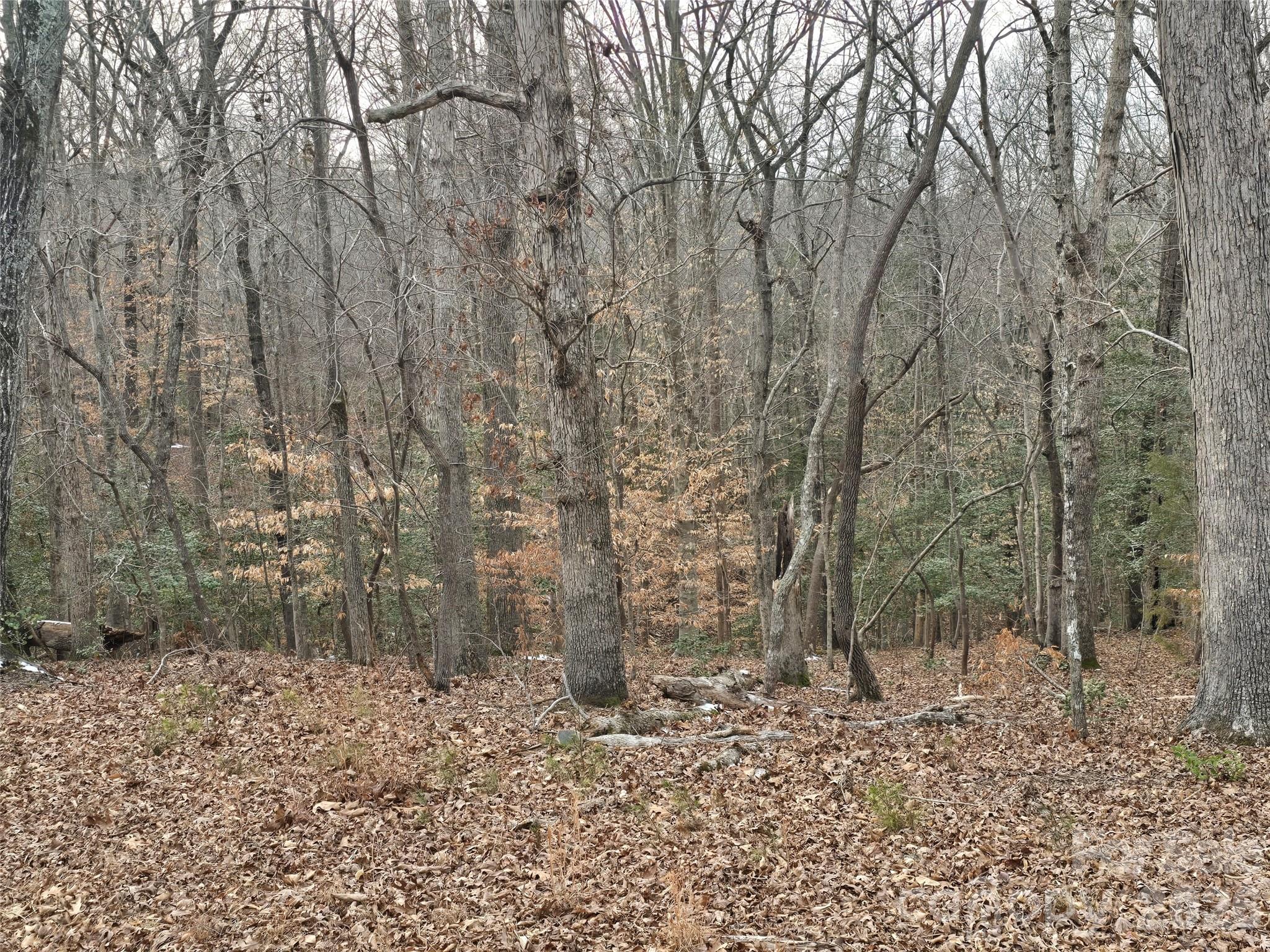 301 Chinkapin Road Troy, NC 27371 - Photo 2 of 7