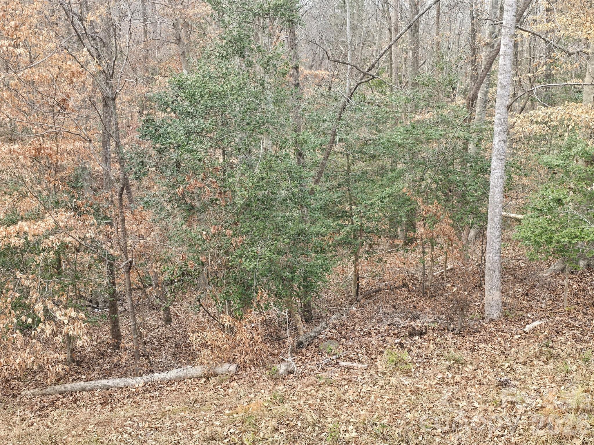 301 Chinkapin Road Troy, NC 27371 - Photo 3 of 7