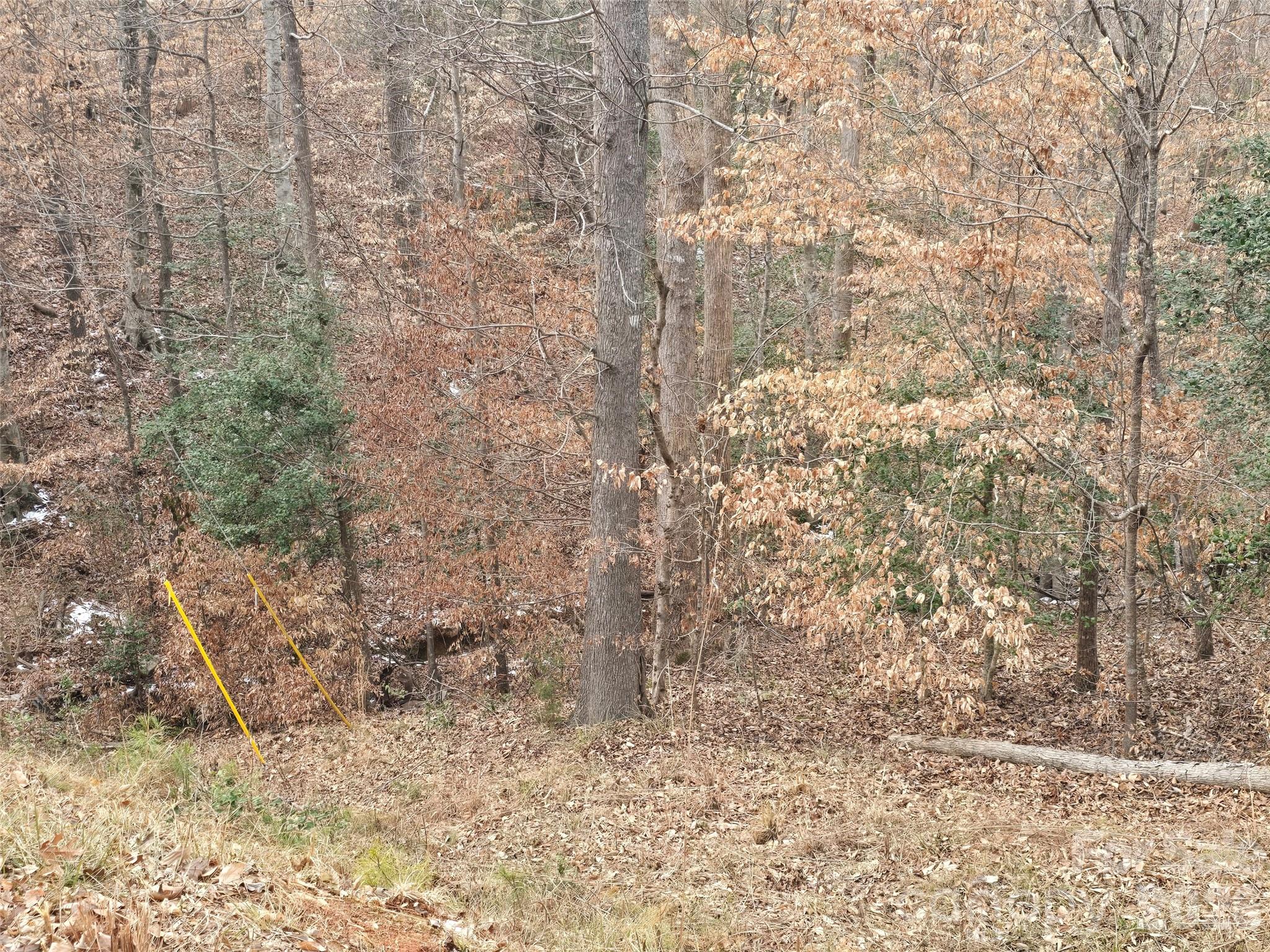 301 Chinkapin Road Troy, NC 27371 - Photo 4 of 7