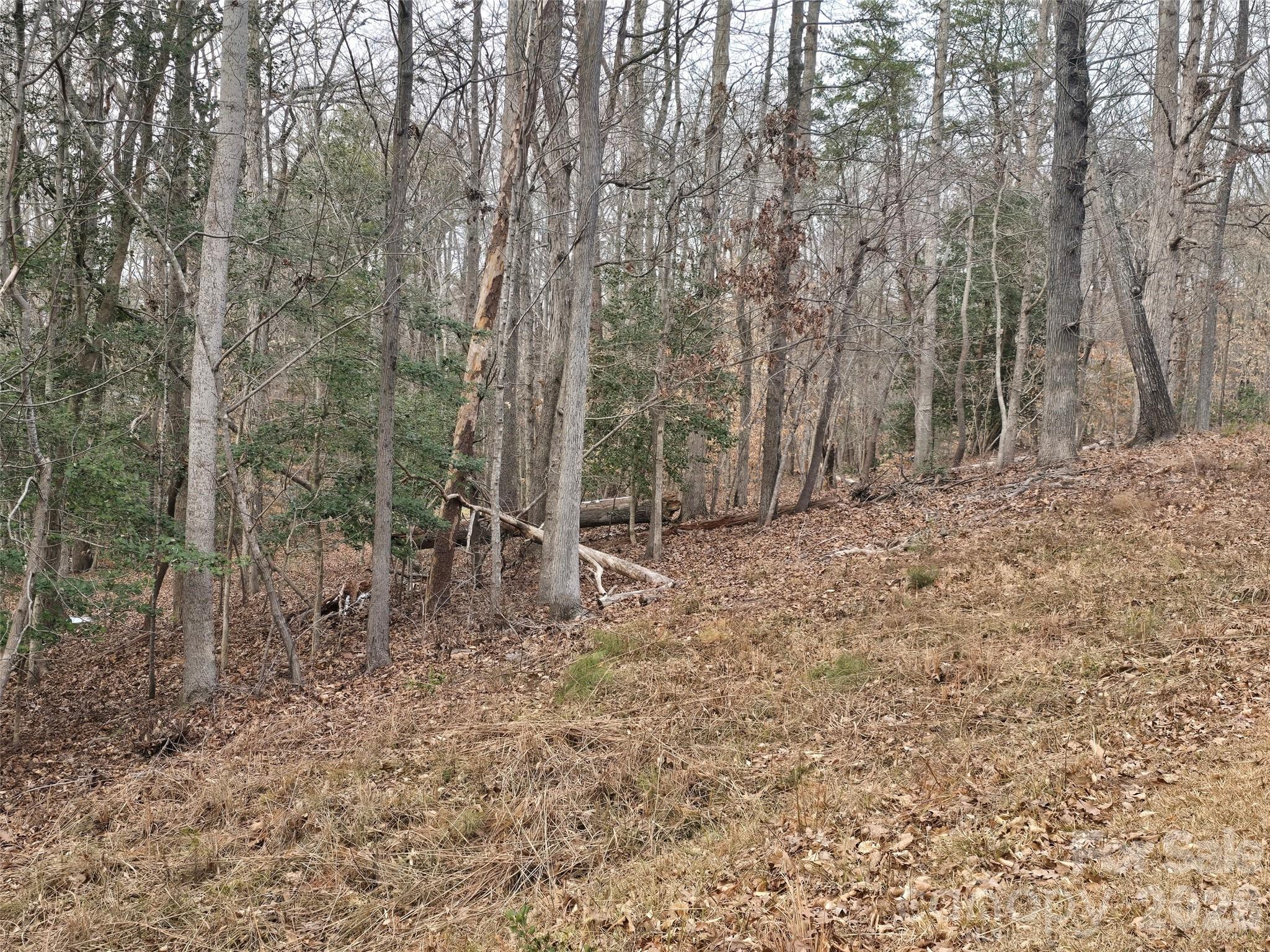 301 Chinkapin Road Troy, NC 27371 - Photo 5 of 7