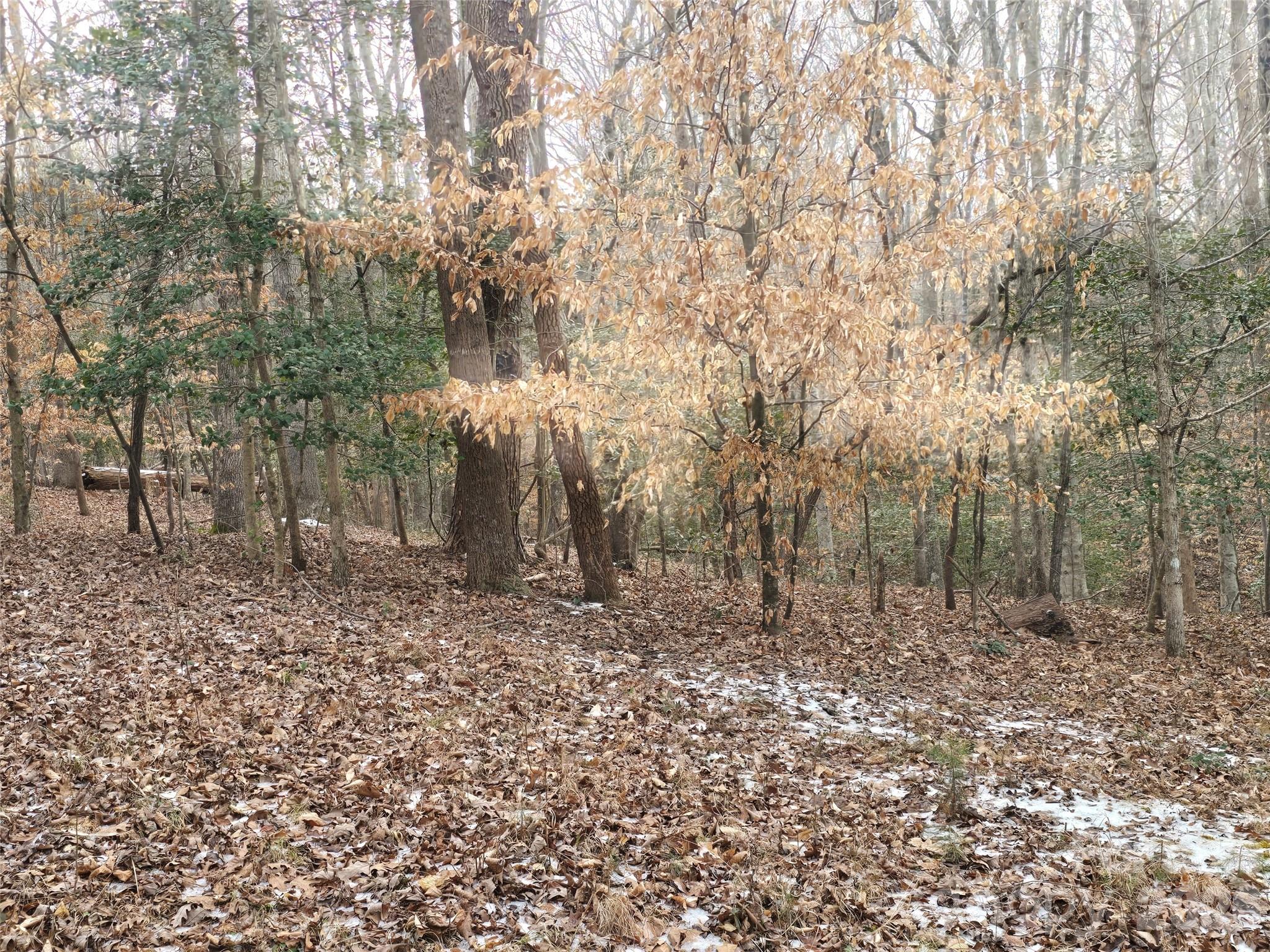 301 Chinkapin Road Troy, NC 27371 - Photo 6 of 7