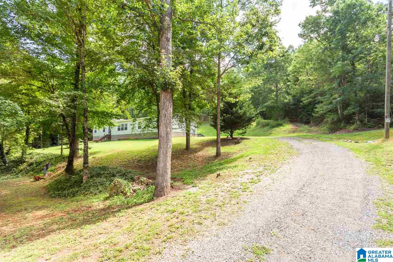 1574 White Plains Road Anniston, AL 36207 - Photo 41 of 48